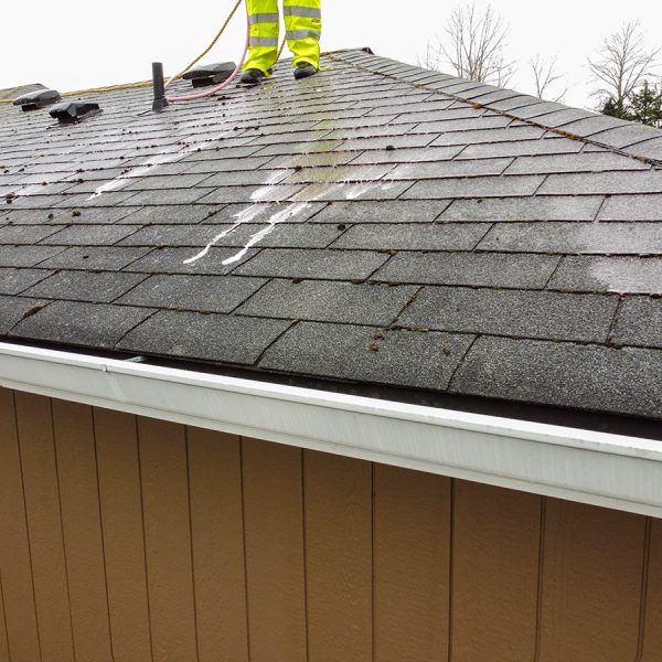 Roof Cleaning Company Near Me The Woodlands Tx